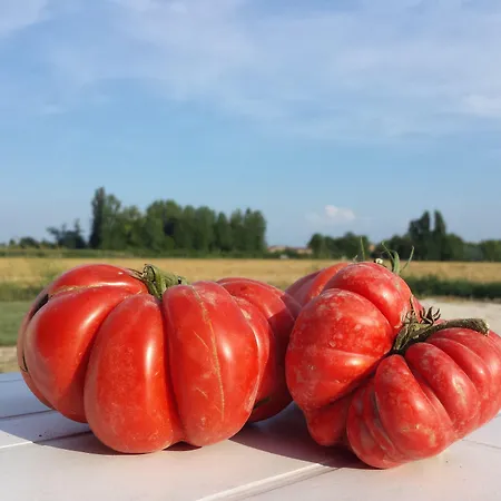 Çiftlik konaklama Agriturismo-r&b Corte Dei Gioghi *