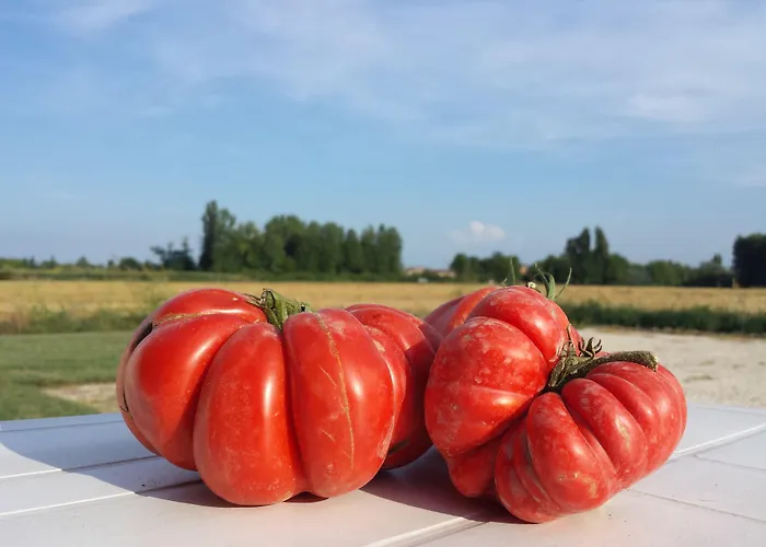 Çiftlik konaklama Agriturismo-r&b Corte Dei Gioghi *