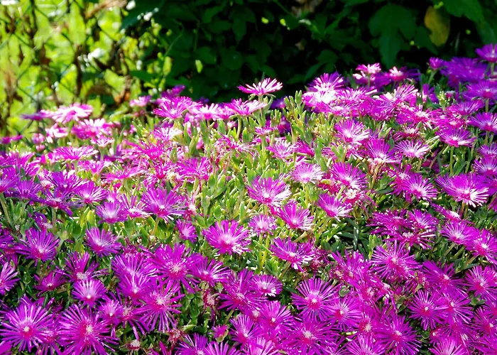 Agriturismo-r&b Corte Dei Gioghi Ferrara