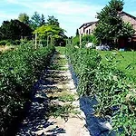 Agriturismo-r&b Corte Dei Gioghi Φεράρα