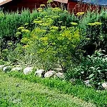 Agriturismo-r&b Corte Dei Gioghi Κατάλυμα σε φάρμα