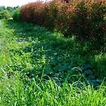 Agriturismo-r&b Corte Dei Gioghi * Φεράρα