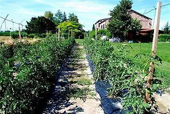 Agriturismo-r&b Corte Dei Gioghi Ferrara
