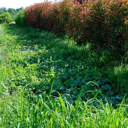 Agriturismo-r&b Corte Dei Gioghi * فيرّارا